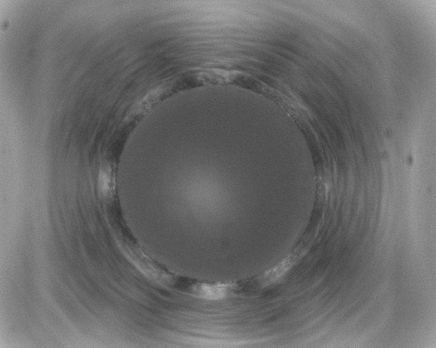 X0000087530134200705112041