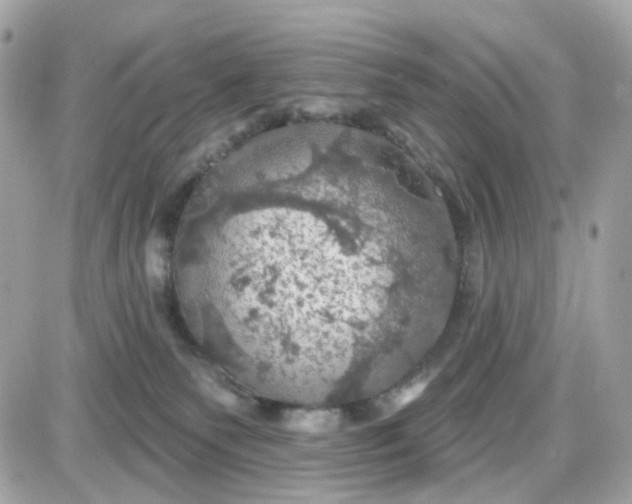 X0000087530135200705112041