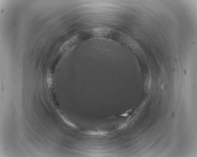 X0000087530137200705112041