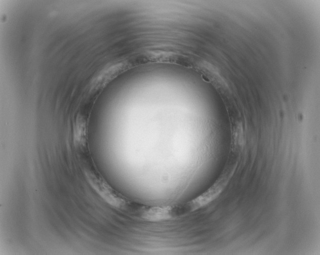 X0000087530138200705112041