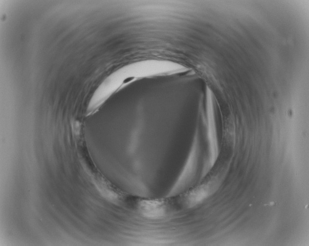 X0000087530139200705112041