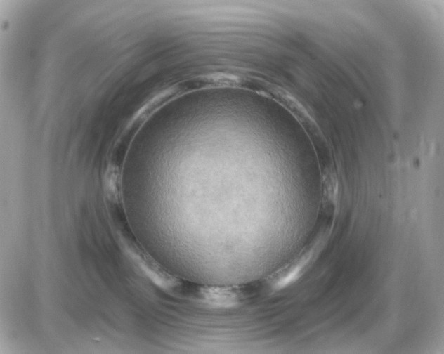 X0000087530141200705112041