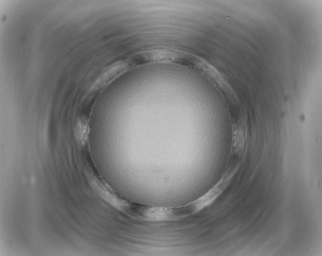 X0000087530142200705112041