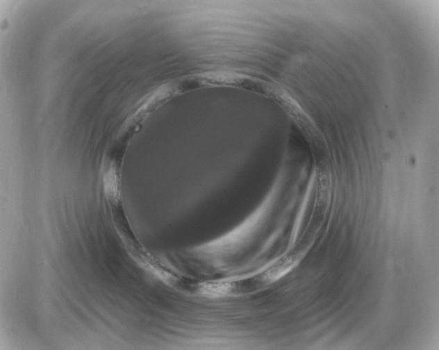 X0000087530143200705112041