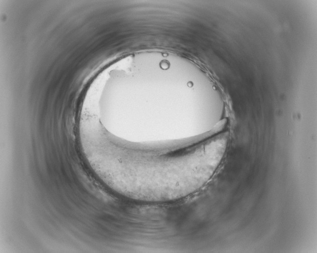 X0000087530146200705112040