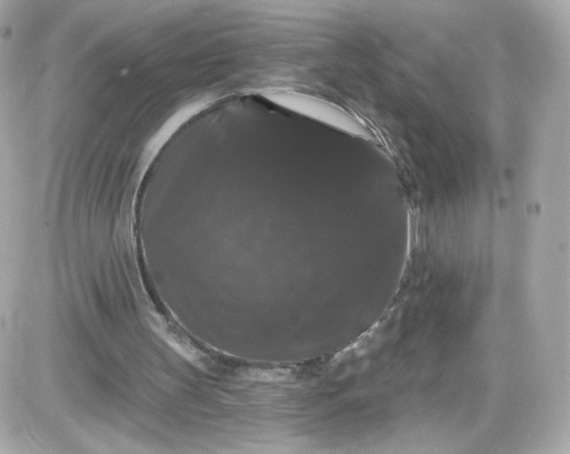 X0000087530147200705112040