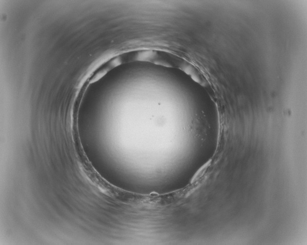 X0000087530148200705112040