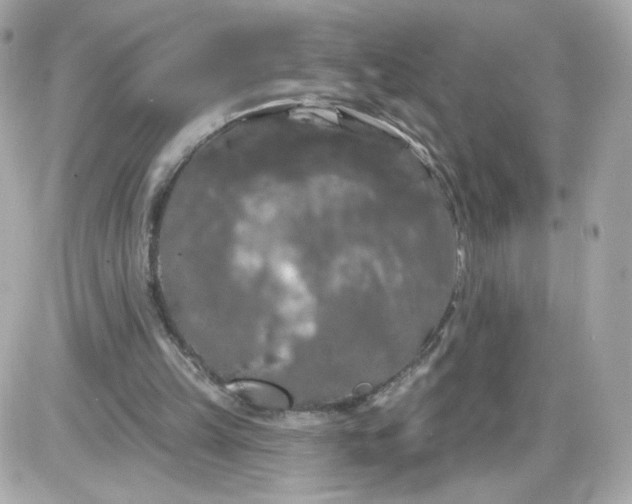 X0000087530149200705112040