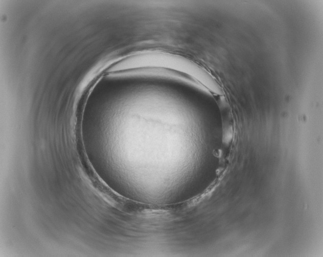 X0000087530150200705112040