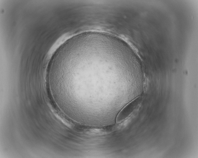 X0000087530151200705112040