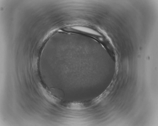 X0000087530154200705112040