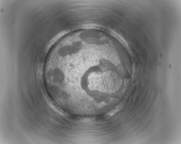 X0000087530155200705112040