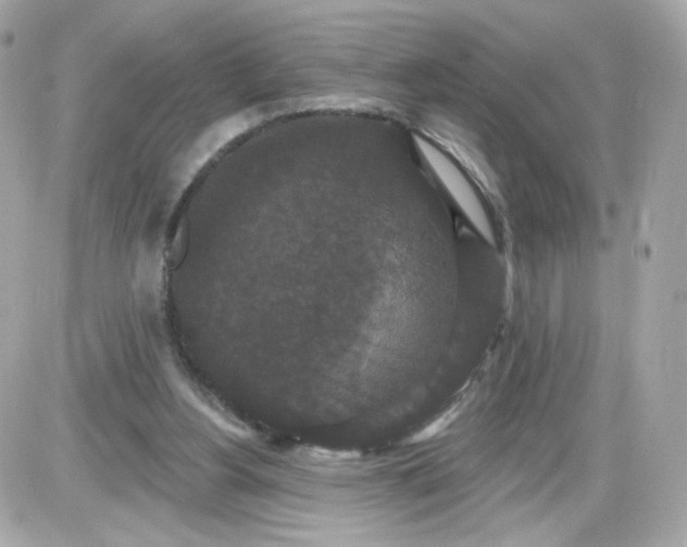 X0000087530156200705112040