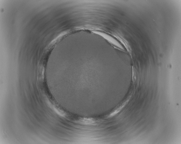 X0000087530157200705112040