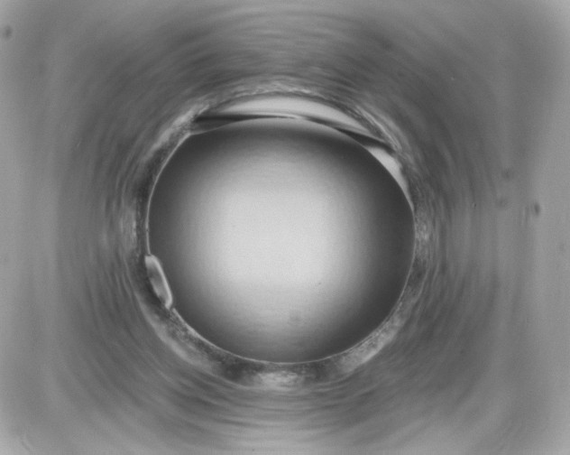 X0000087530158200705112040