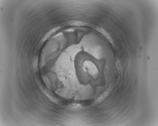 X0000087530159200705112040