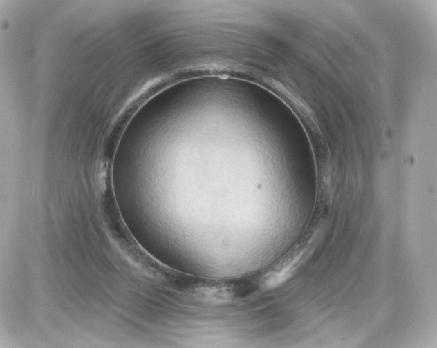 X0000087530160200705112040