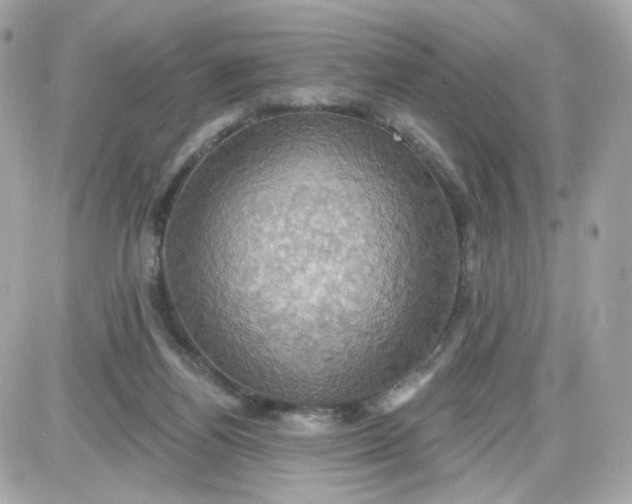 X0000087530164200705112040