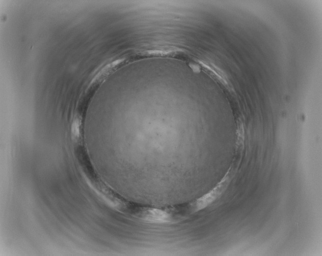 X0000087530166200705112040