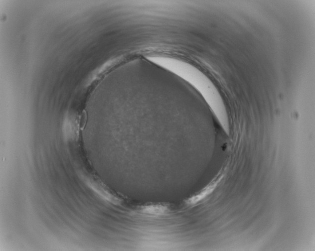 X0000087530168200705112040