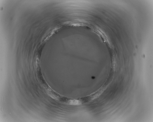 X0000087530169200705112040