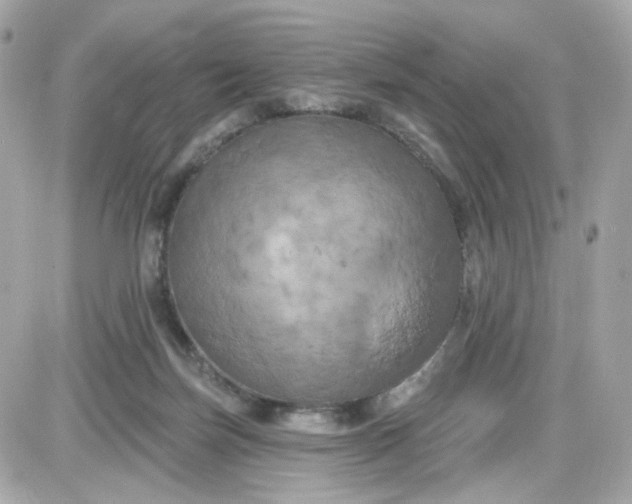 X0000087530171200705112040