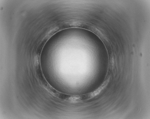 X0000087530172200705112040