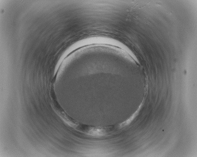 X0000087530174200705112040