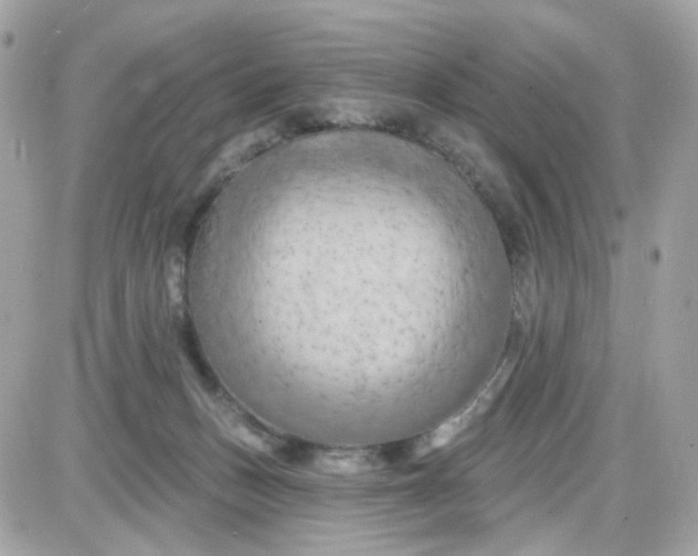 X0000087530175200705112040