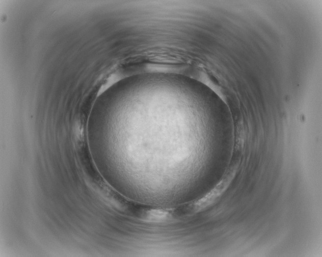 X0000087530176200705112040