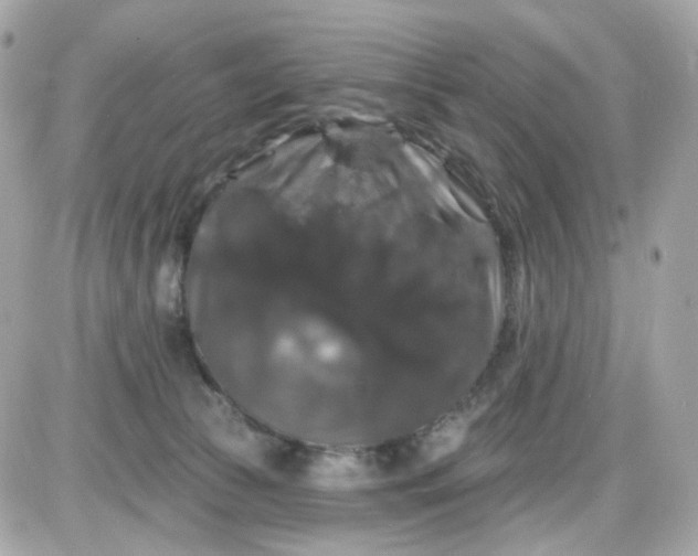 X0000087530177200705112040