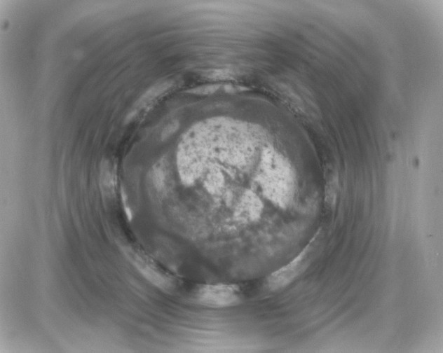 X0000087530179200705112040