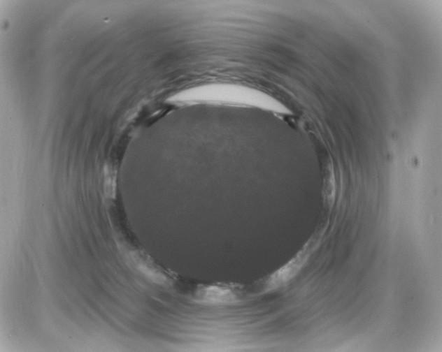 X0000087530180200705112040