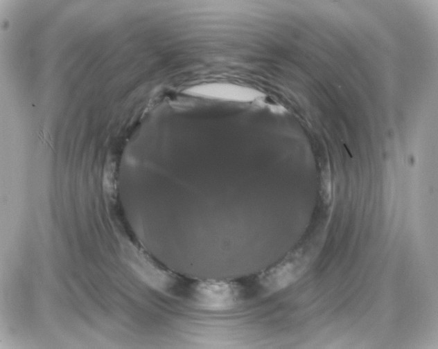 X0000087530181200705112040