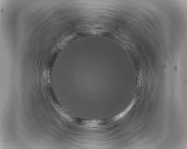 X0000087530182200705112040