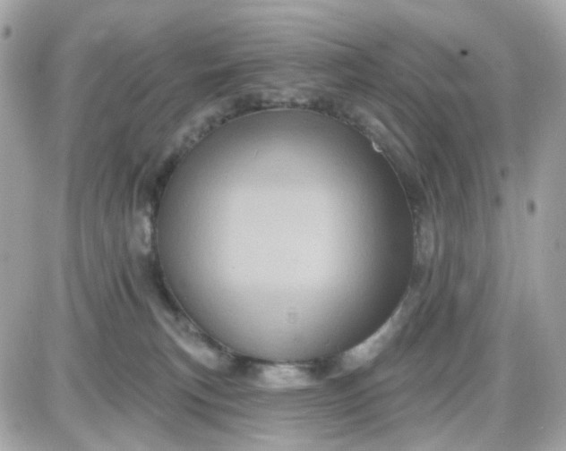 X0000087530183200705112040