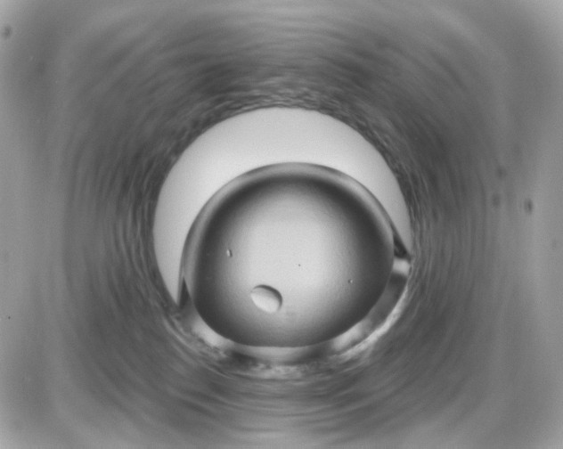 X0000087530186200705112040