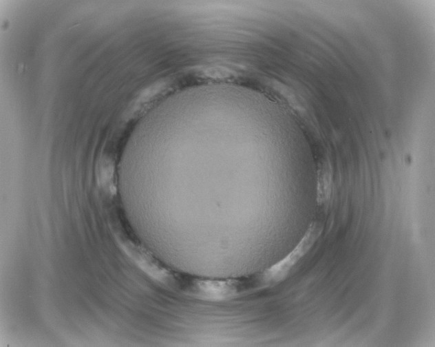 X0000087530187200705112040