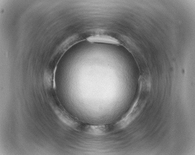 X0000087530188200705112040