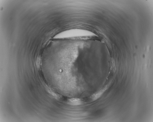 X0000087530189200705112040