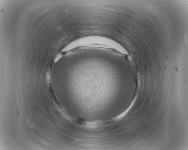 X0000087530190200705112040