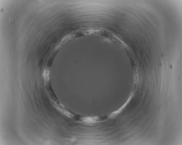 X0000087530191200705112040