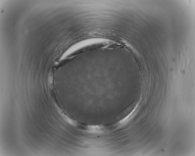 X0000087530192200705112041