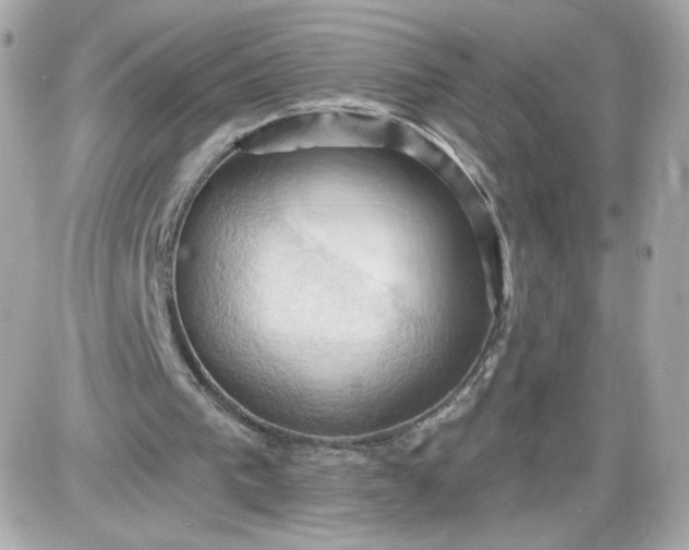 X0000087530193200705112040