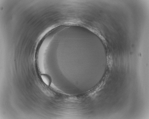 X0000087530196200705112040