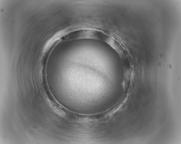 X0000087530197200705112040