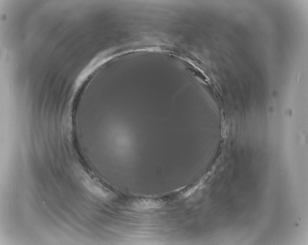 X0000087530198200705112040