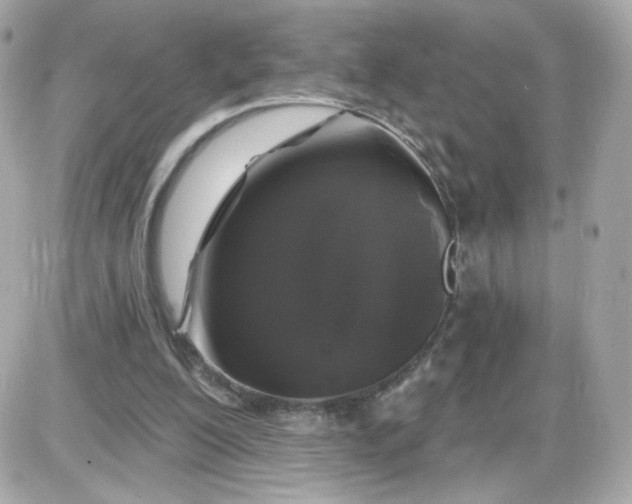 X0000087530200200705112040