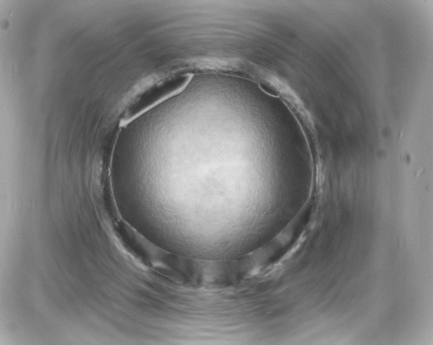 X0000087530201200705112040