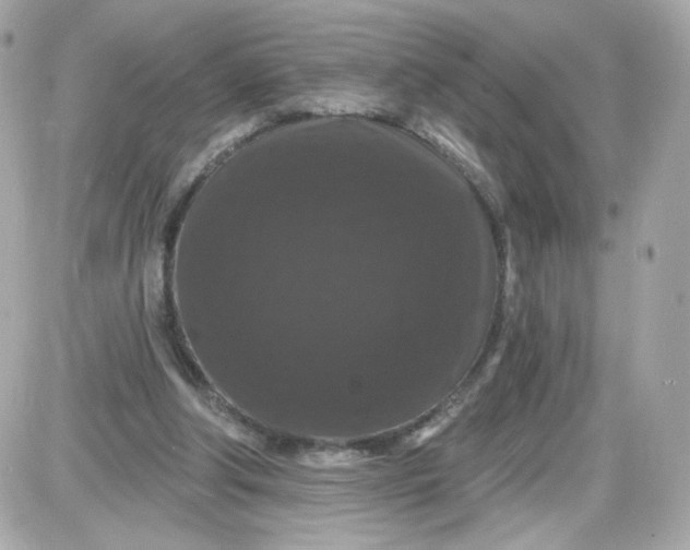 X0000087530202200705112040